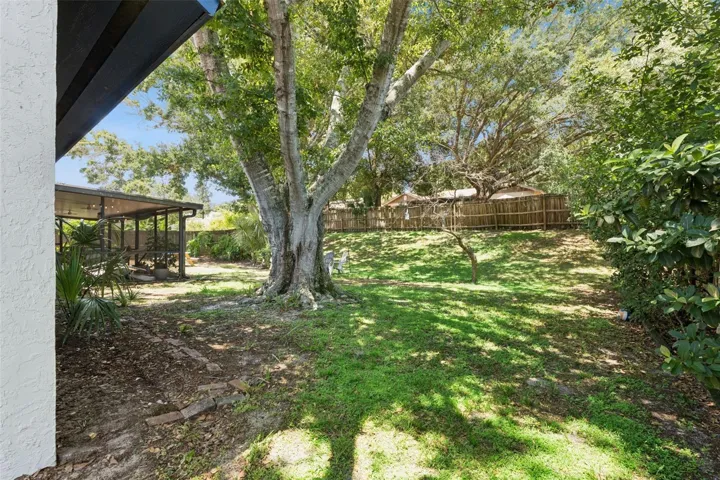 Large fenced in backyard