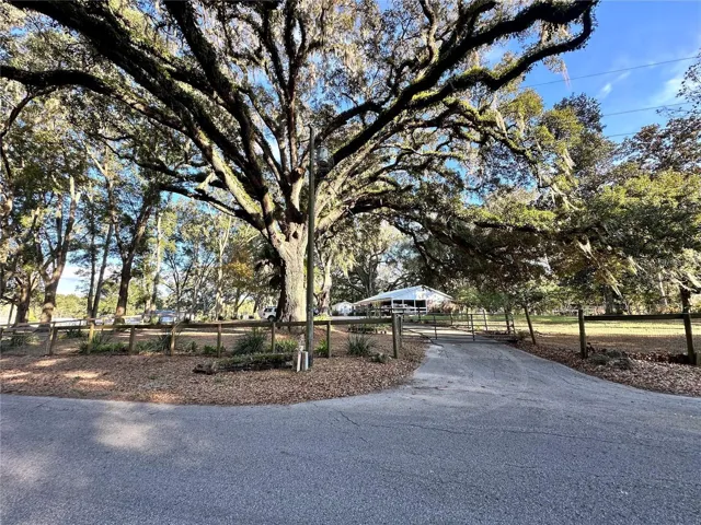 Front drive