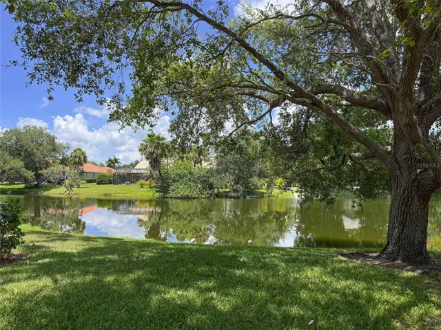 Pond
