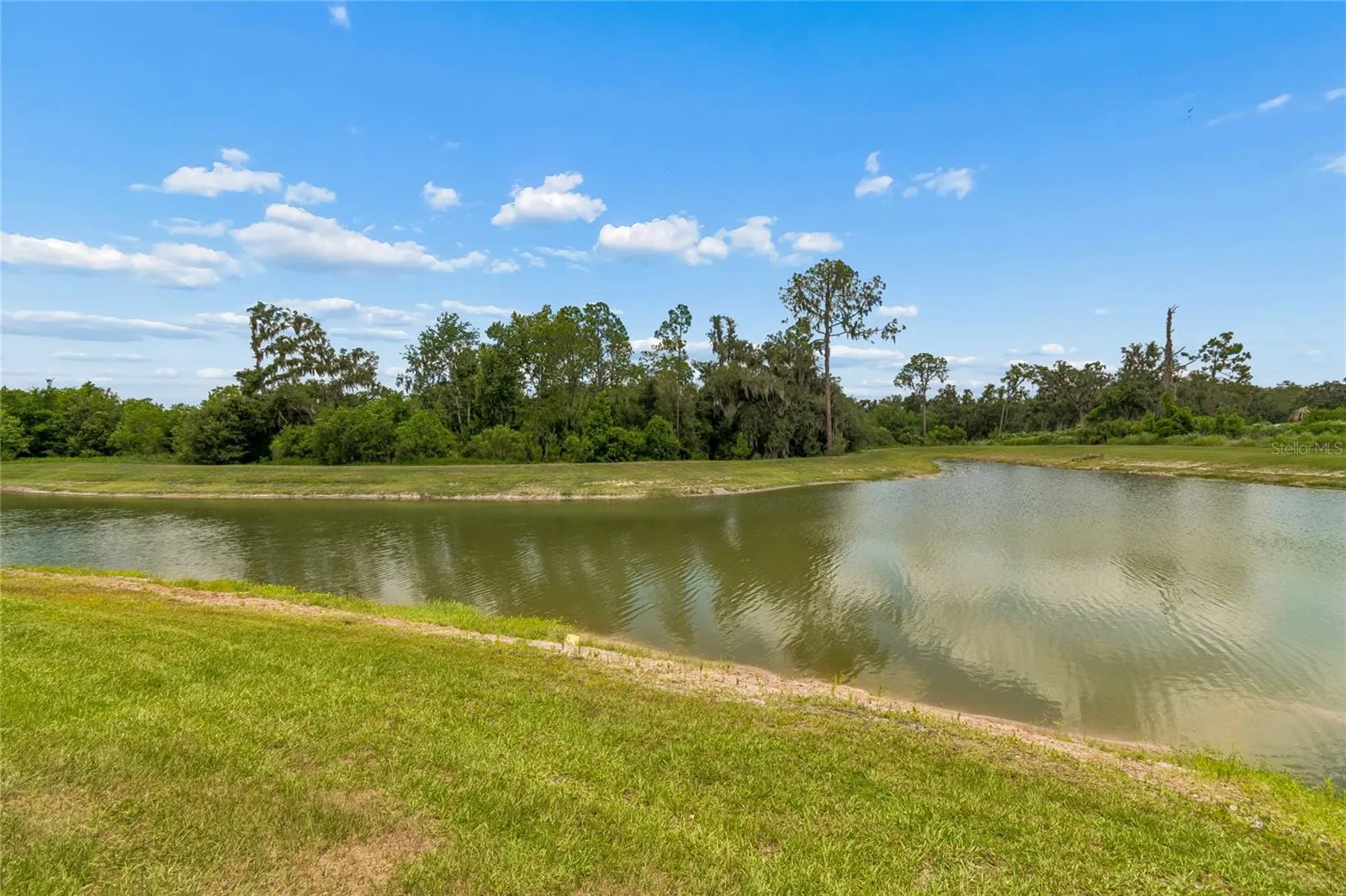 3883 Capri Coast Dr, Plant City, Florida 33565 — photo 48