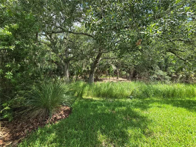 Backyard Conservation view