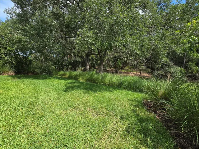 Conservation Lot