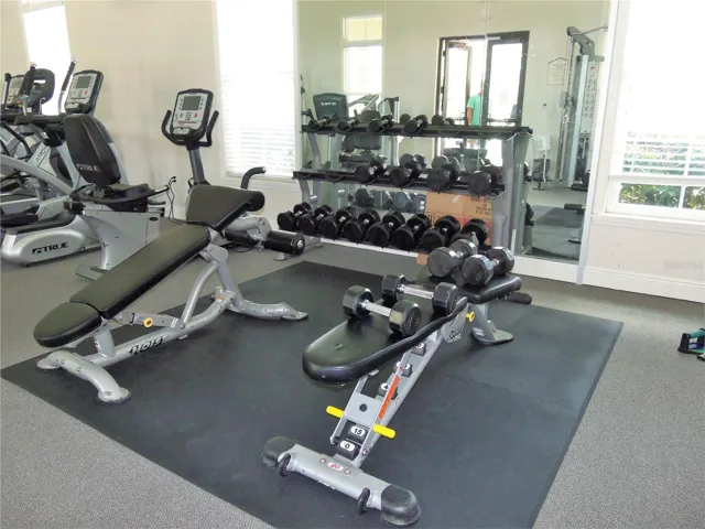 Fitnes Room Free Weights