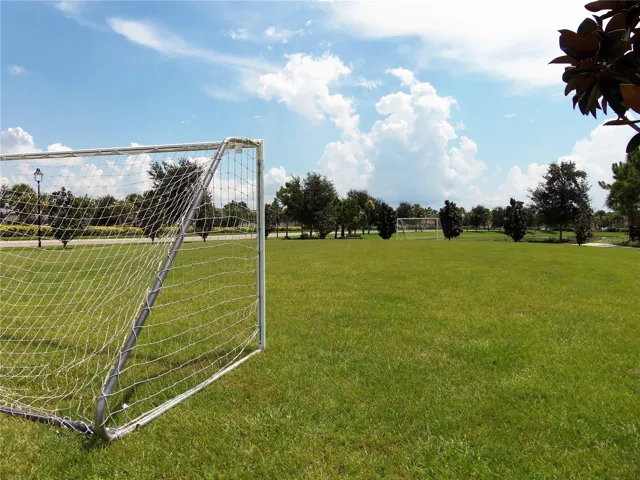 Soccer/Sports Field