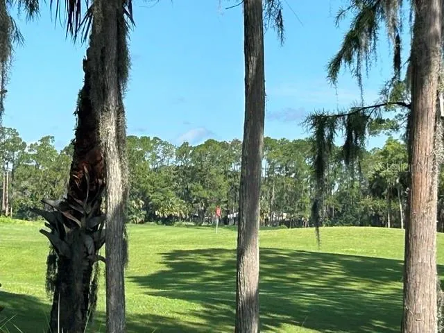 View of golf course