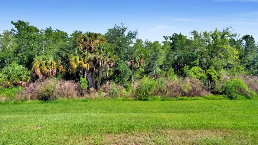 Conservation Area: Never to be built on.