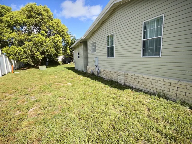 Back yard