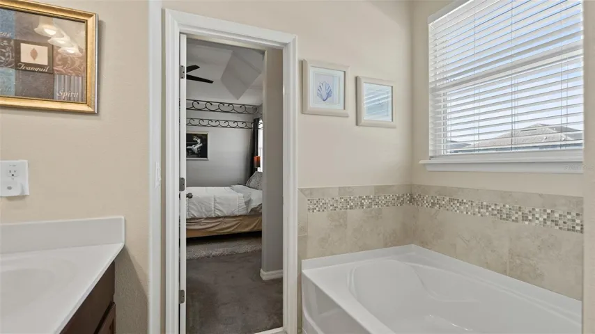 Primary Bathtub