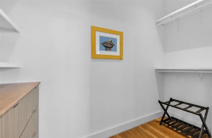 Guest Closet