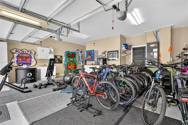 Want to Bike Race??
