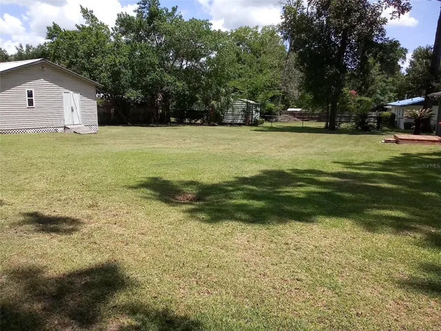 Backyard