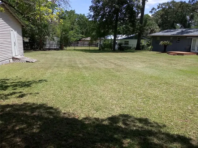 Backyard