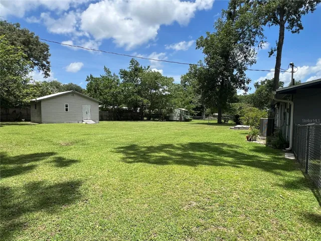Backyard