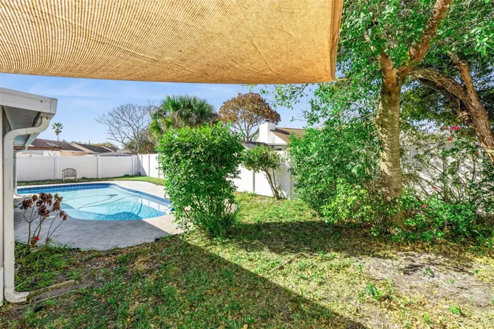 Backyard 5