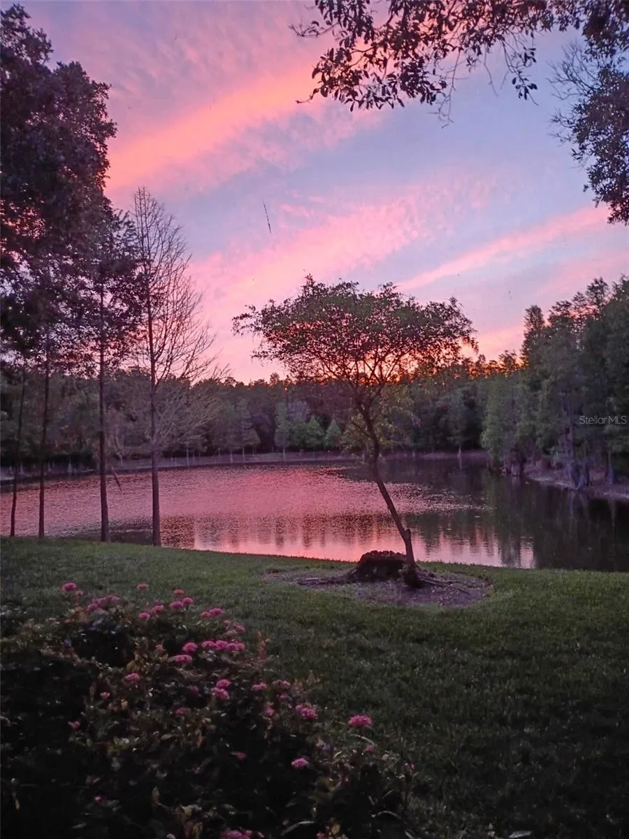 Owner-provided sunset shot from the back porch.