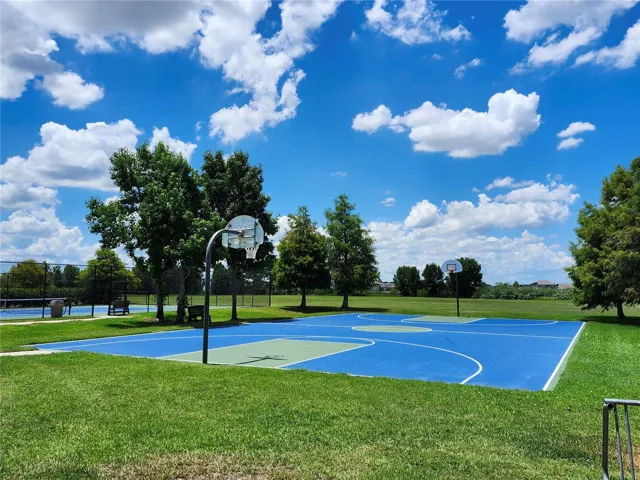 Basketball