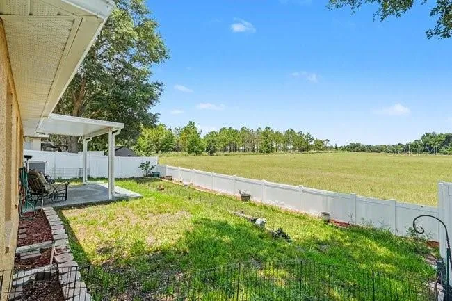 Rear Views of Horse Farm