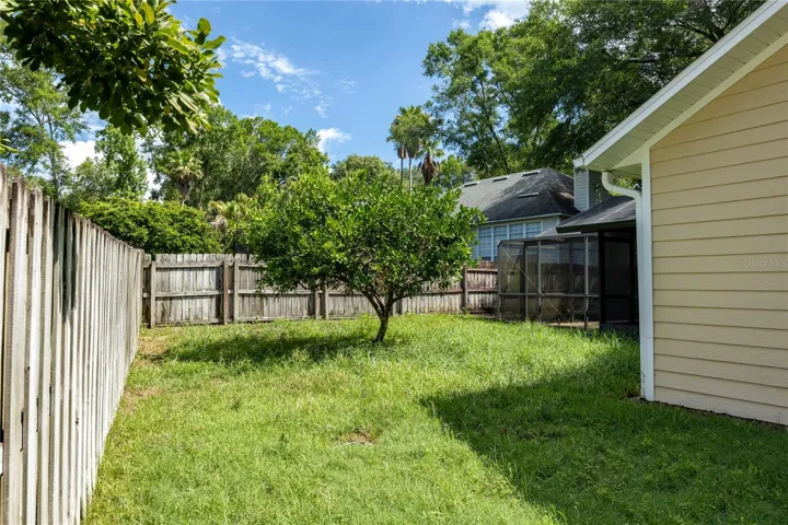 Backyard