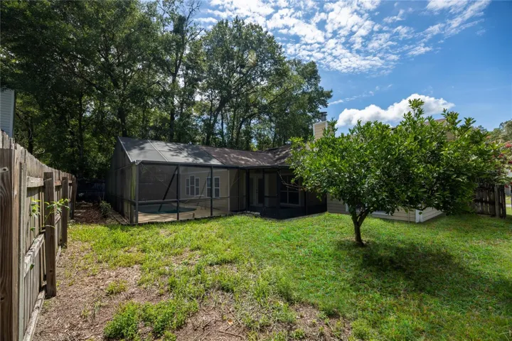 Backyard