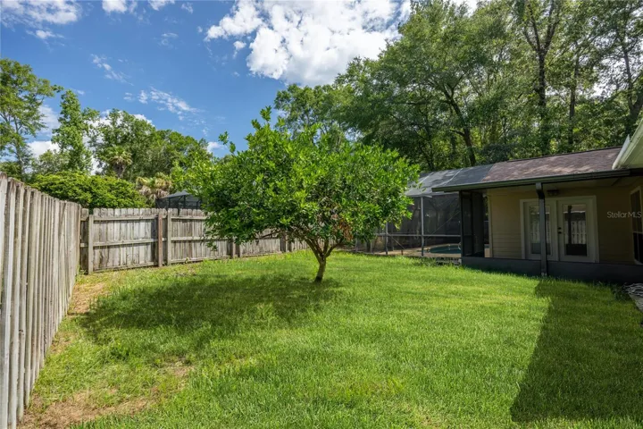 Nice sized back yard