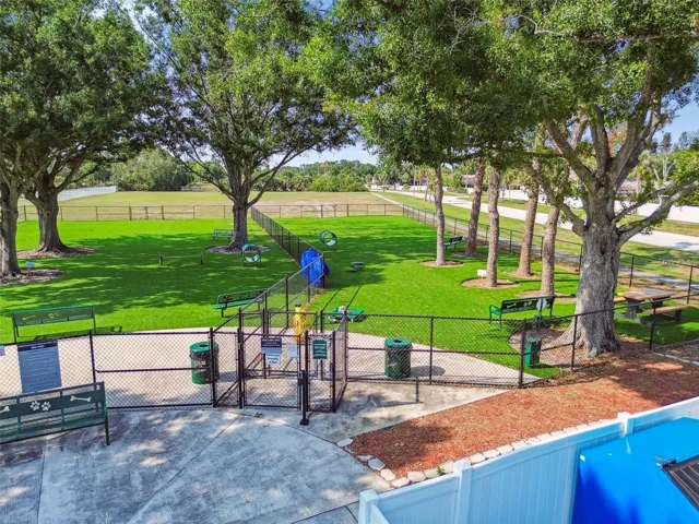 Dog Park