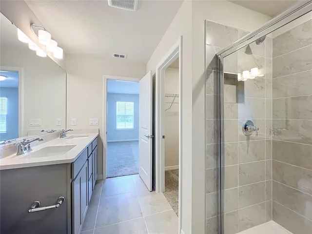 primary bathroom, double vanity