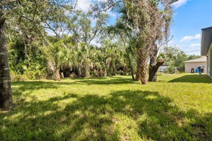 Backyard