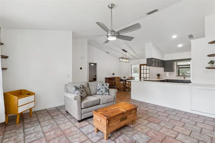 Living room, kitchen