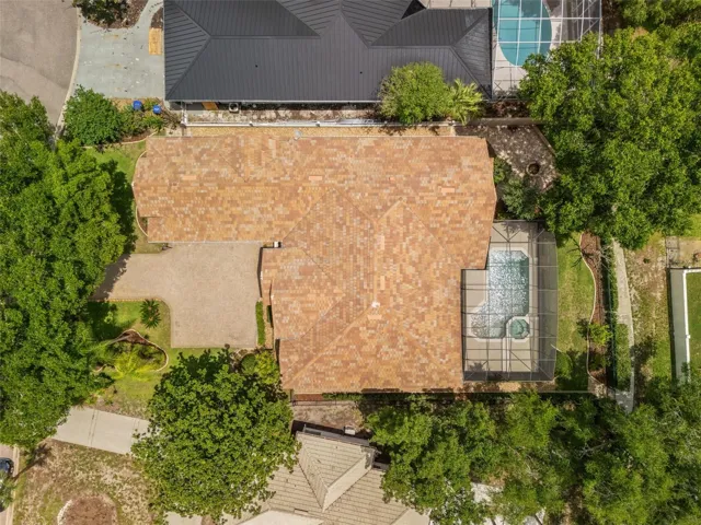 Bird's-eye View