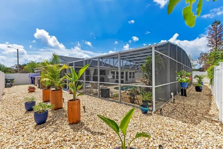 View of backyard