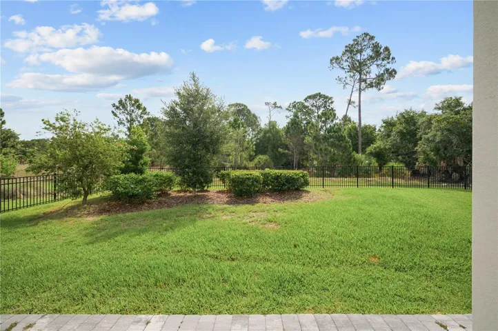 Fenced backyard