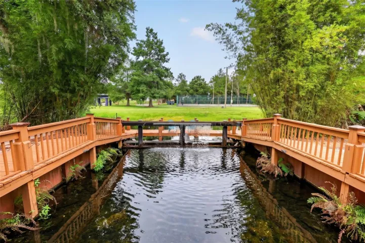 pond