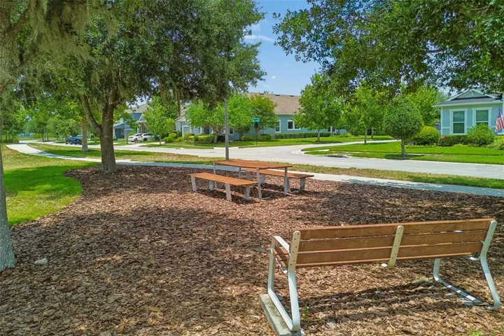 Huge green space across the street