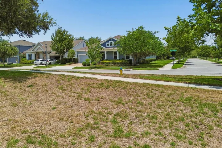 Huge green space across the street