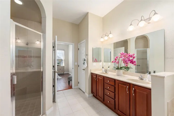dual sinks