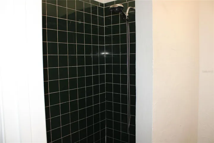 Master bathroom shower