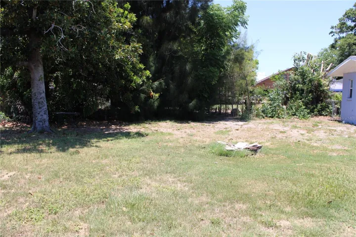 Back yard