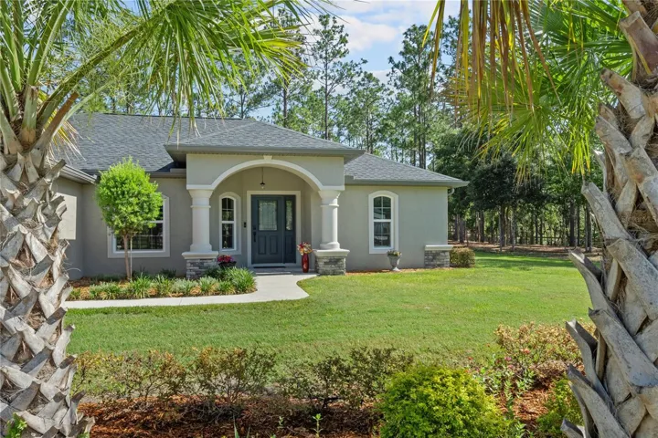 Front View