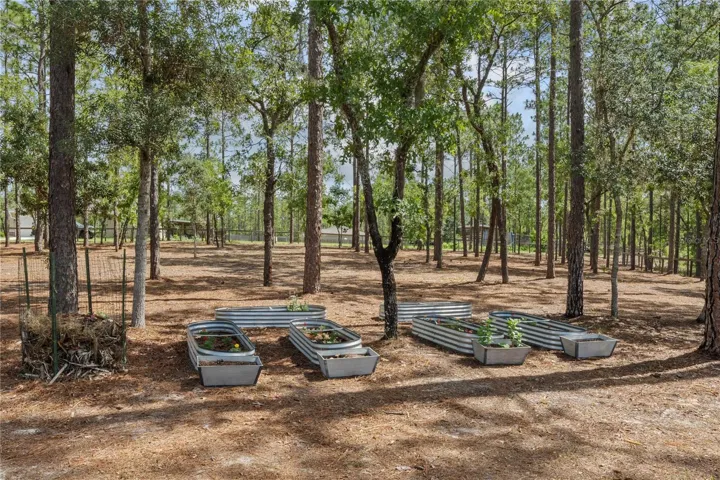 raised beds