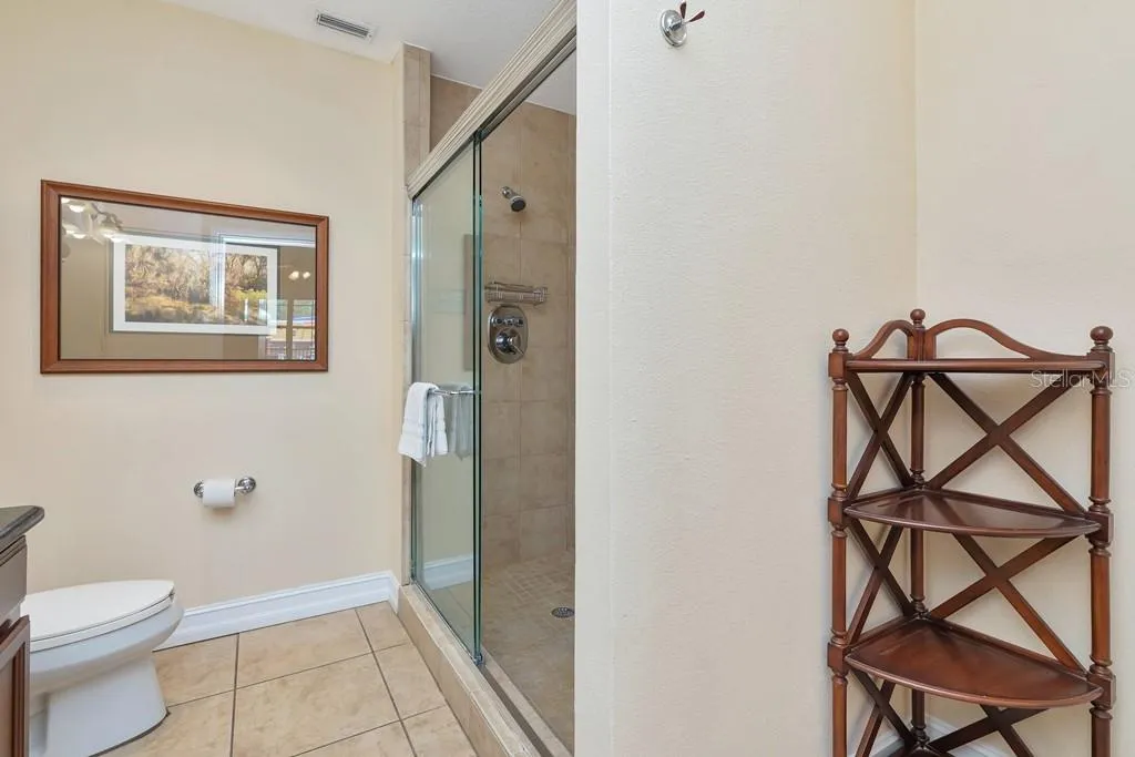 Master bathroom Shower with mister sprays