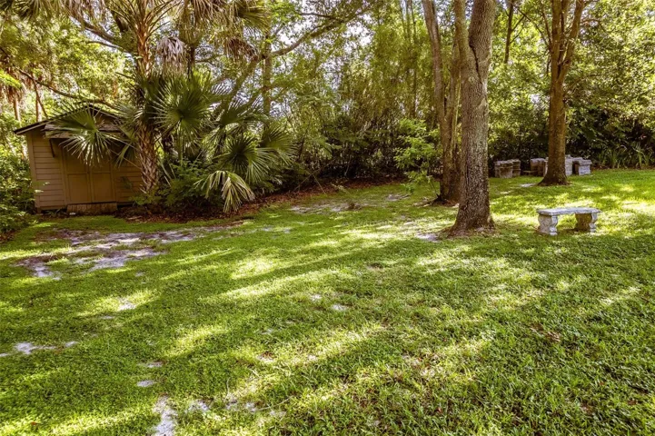 Backyard with Shed