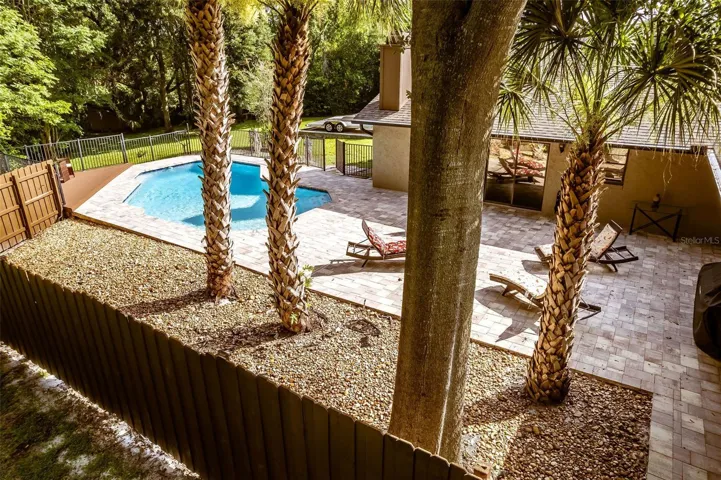 Mature Palms trees