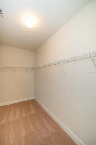 Master Room Closet two