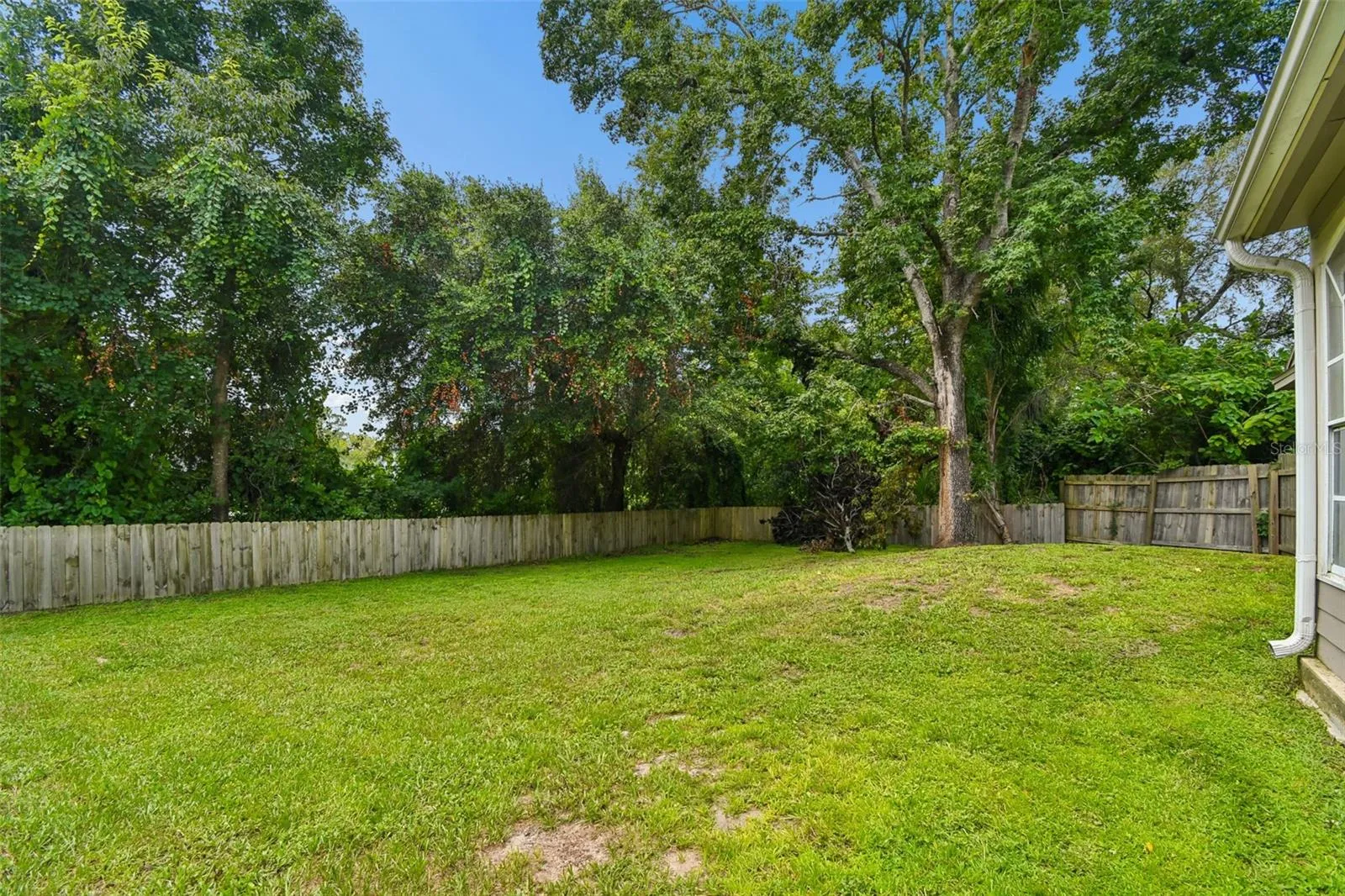 Private Backyard