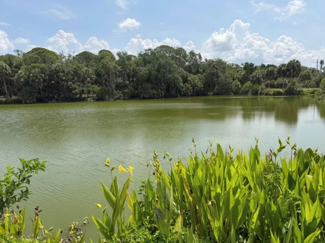 Red Bug Slough - Tranquil Lake