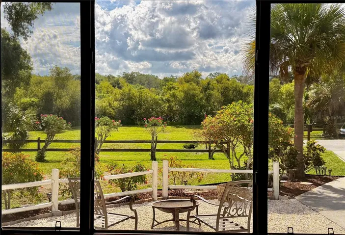 View From the Living Room Window