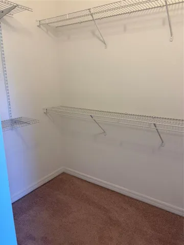 Master Walk in closet