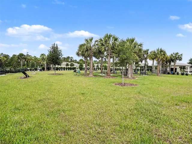 Picnic Tables and Outdoor Workout Area