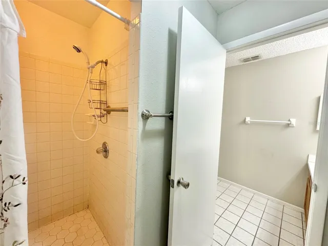 Primary Bathroom Shower
