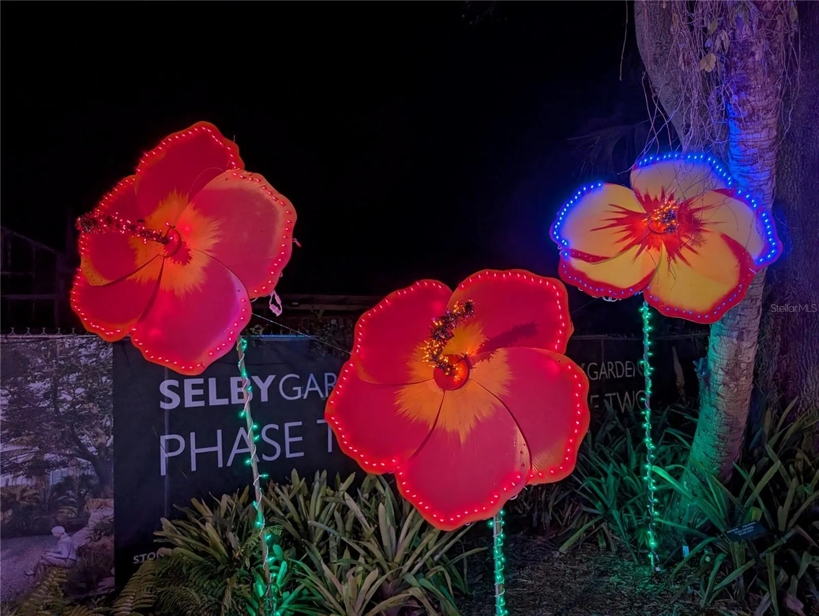 Selby Botanical Gardens is a must see, buy an annual pass to enjoy many annual events.